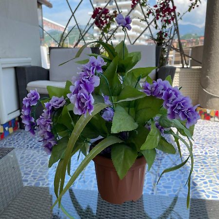 Costa Sud Salerno Bed and Breakfast Εξωτερικό φωτογραφία